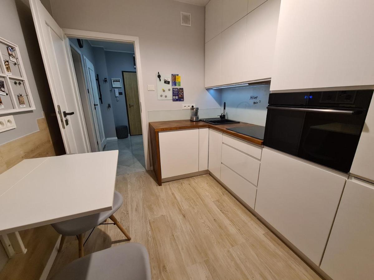 Jr Smolna Apartment Posen